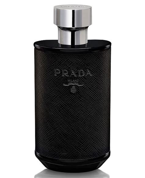 l homme prada macy's|is Prada l'homme long lasting.